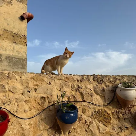 公寓 Tranquil Garden Hideaway In Gozo 圣劳伦斯